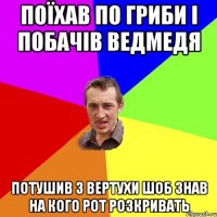 Поїхав по гриби і побачів ведмедя Потушив з вертухи шоб знав на кого рот розкривать