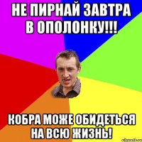 не пирнай завтра в ополонку!!! кобра може обидеться на всю жизнь!