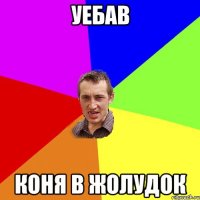 уебав коня в жолудок