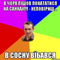 В чора пішов покататися на санках!!! - неповіриш... В сосну вїбався