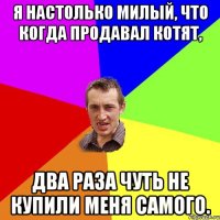 Я настолько милый, что когда продавал котят, два раза чуть не купили меня самого.