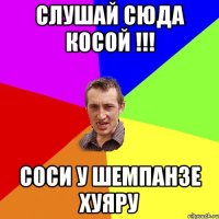 слушай сюда косой !!! соси у шемпанзе хуяру