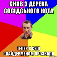 Сняв з дерева сосідського кота Тепер в селі спайдерменом прозвали