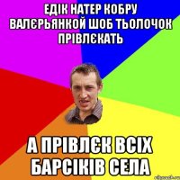 Едік натер кобру валєрьянкой шоб тьолочок прівлєкать А прівлєк всіх барсіків села