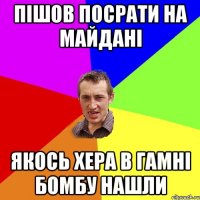 Пішов посрати на майдані Якось хера в гамні бомбу нашли