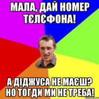 мала, дай номер тєлєфона! а діджуса не маєш? но тогди ми не треба!