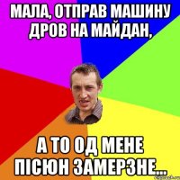 мала, отправ машину дров на майдан, а то од мене пісюн замерзне...