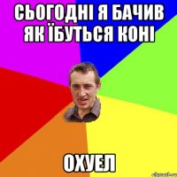 Сьогодні я бачив як їбуться коні ОХУЕЛ