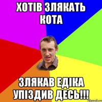 ХОТІВ ЗЛЯКАТЬ КОТА ЗЛЯКАВ ЕДІКА УПІЗДИВ ДЕСЬ!!!