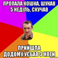 пропала кошка, шукав 5 неділь, скучав прийшла додому,уєбав з ноги