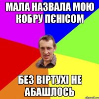 МАЛА НАЗВАЛА МОЮ КОБРУ ПЄНІСОМ БЕЗ ВІРТУХІ НЕ АБАШЛОСЬ