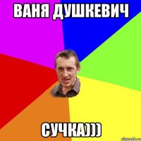 Ваня Душкевич Сучка)))