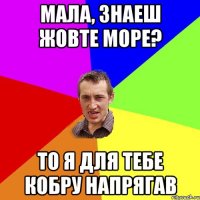 Мала, знаеш жовте моpе? То я для тебе кобpу напpягав