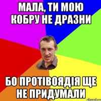 мала, ти мою кобру не дразни бо протівоядія ще не придумали