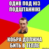 Одив под ніз подштаннікі кобра должна бить в тепле