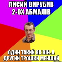 Лисий вирубив 2-ох абмалів один такий як він, а другий трошки менший