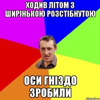 ходив літом з ширінькою розстібнутою оси гніздо зробили