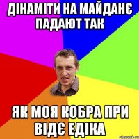 Дінаміти на майданє падают так як моя кобра при відє едіка