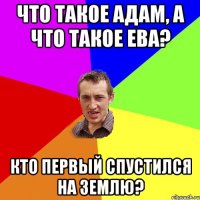 Что такое АДАМ, а что такое ЕВА? Кто первый спустился на землю?