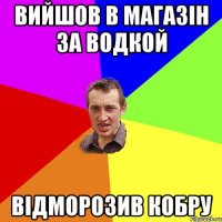 ВИЙШОВ В МАГАЗІН ЗА ВОДКОЙ ВІДМОРОЗИВ КОБРУ