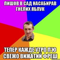 ПИШОВ В САД НАСАБИРАВ ГНЕЛИХ ЯБЛУК ТЕПЕР КАЖДЕ УТРО П'Ю СВЕЖО ВИЖАТИЙ ФРЕШ