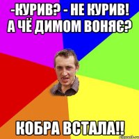 -Курив? - не курив! а чё димом воняє? кобра встала!!