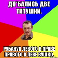 до*бались две титушки. Рубанув левого в праве правого в леве вушко.