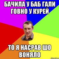 Бачила у баб гали говно у курей то я насрав шо воняло