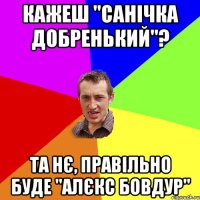 кажеш "Санічка добренький"? та нє, правільно буде "Алєкс бовдур"