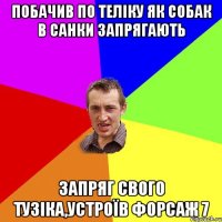 Побачив по теліку як собак в санки запрягають Запряг свого тузіка,устроїв Форсаж 7