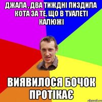 Джала , два тиждні пиздила кота за те, що в туалеті калюжі Виявилося бочок протікає