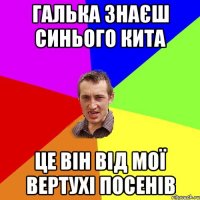 галька знаєш синього кита це він від мої вертухі посенів