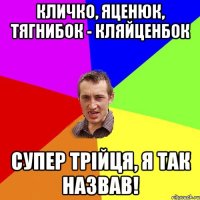 Кличко, Яценюк, Тягнибок - Кляйценбок Супер трійця, я так назвав!