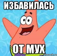 Избавилась от мух