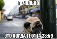 Печалько Это когда 11.01.14 23:59