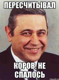 пересчитывал коров, не спалось