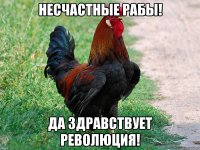 НЕСЧАСТНЫЕ РАБЫ! ДА ЗДРАВСТВУЕТ РЕВОЛЮЦИЯ!