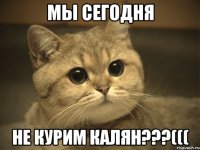 МЫ СЕГОДНЯ НЕ КУРИМ КАЛЯН???(((