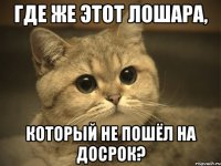 Где же этот лошара, который не пошёл на досрок?