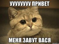 уууууууу привет меня завут вася