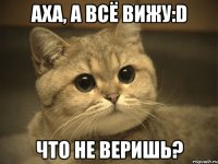 Аха, а всё вижу:D что не веришь?