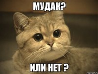 Мудак? Или нет ?