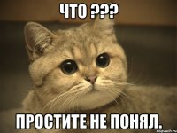 что ??? простите не понял.