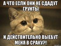 А что если они не сдадут грунты и действительно выебут меня в сраку?!