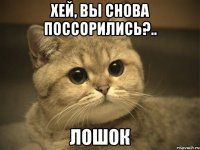 Хей, вы снова поссорились?.. Лошок