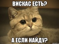 ВИСКАС ЕСТЬ? А ЕСЛИ НАЙДУ?