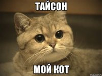 тайсон мой кот