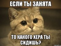 если ты занята то какого хера ты сидишь?