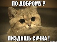 по доброму ? пиздишь сучка !