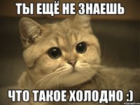 ты ещё не знаешь что такое холодно :)